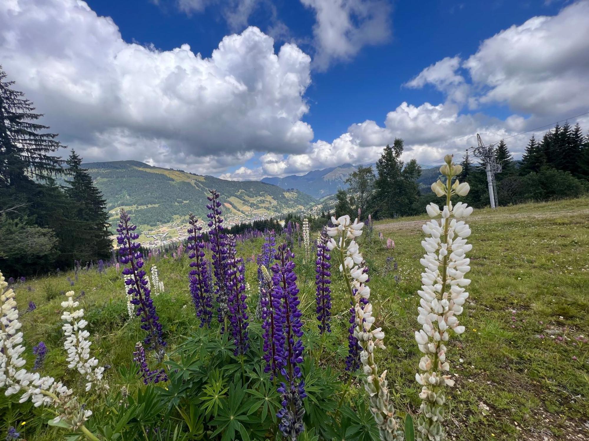 Chalet Aventure B&B Les Gets Exteriör bild